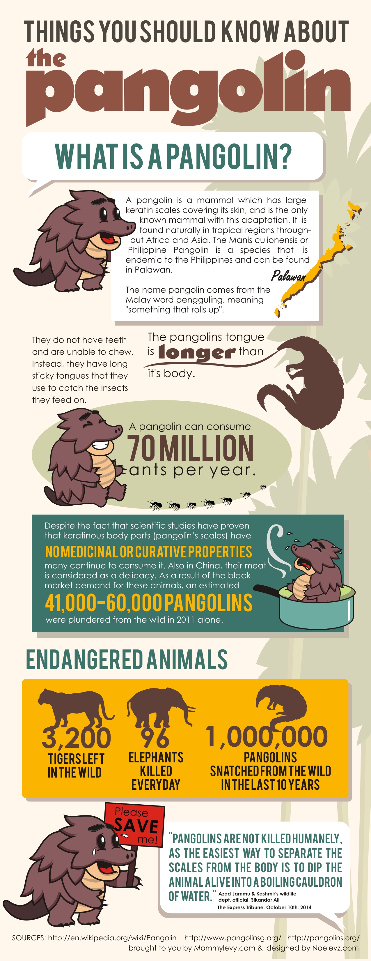 Pangolin Activity Save The Pangolins: Ren's Science Report - Mommy Levy