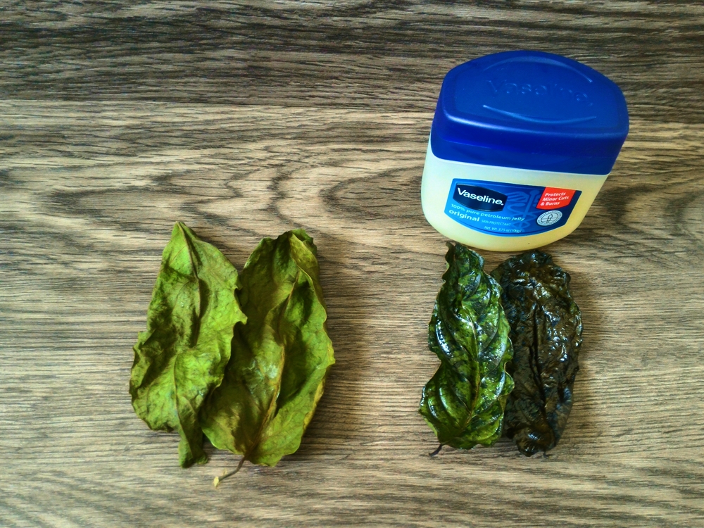 Heal your dry skin with Vaseline Mommy Levy