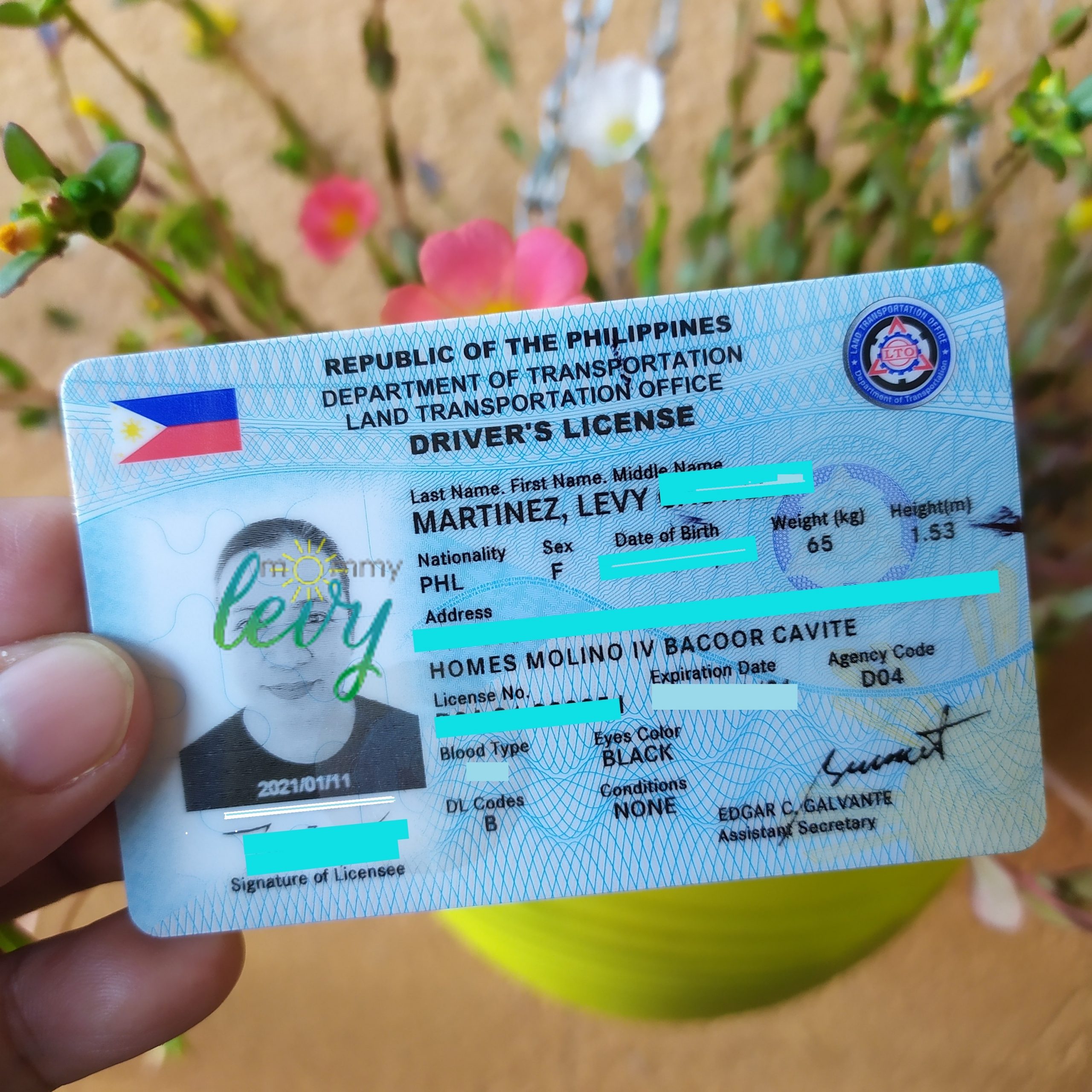 2021 LTO Driver's License Guide Requirements + Fees Mommy Levy